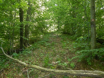 DSCN2161