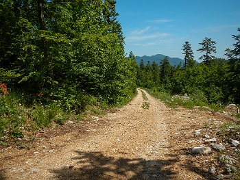DSCN2182