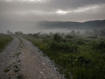 DSCN2188