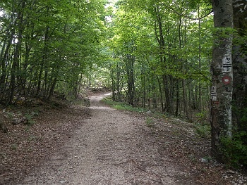 DSCN2194