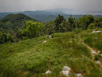DSCN2205