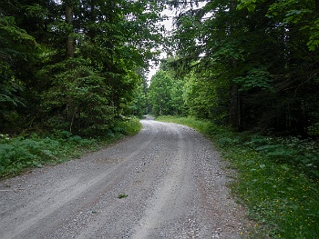DSCN2261