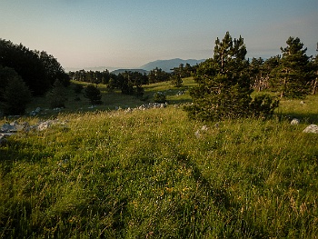 DSCN2344