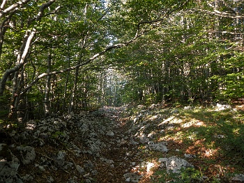 DSCN2346