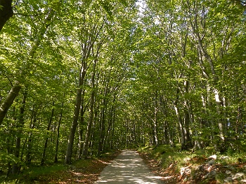 DSCN2349