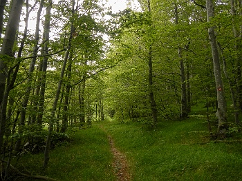 DSCN2381