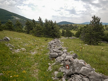 DSCN2390