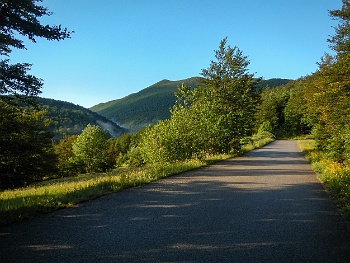 DSCN2405