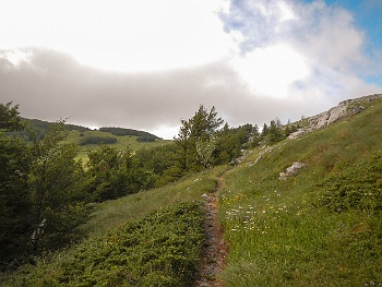 DSCN2453