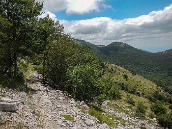 DSCN2470