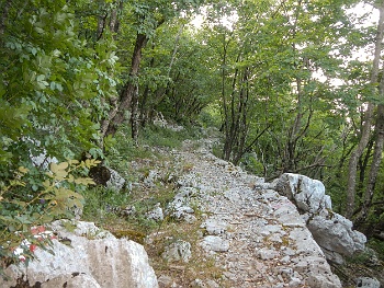 DSCN2486