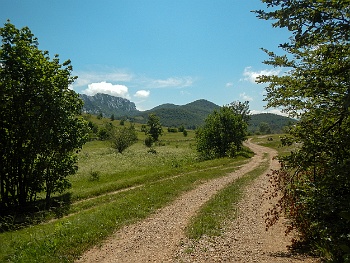 DSCN2490