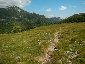 DSCN2502