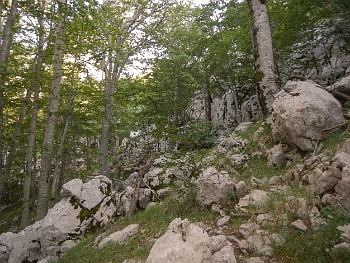 DSCN2506