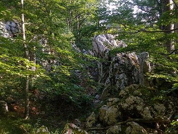 DSCN2517