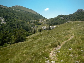 DSCN2534