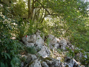 DSCN2565