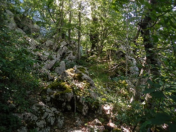 DSCN2566