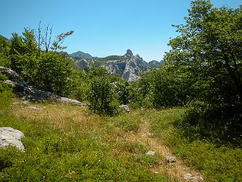 DSCN2568