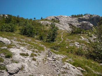 DSCN2581