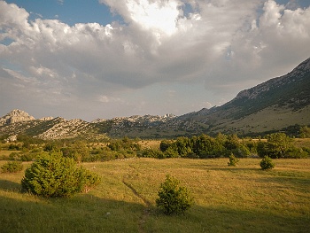 DSCN2600