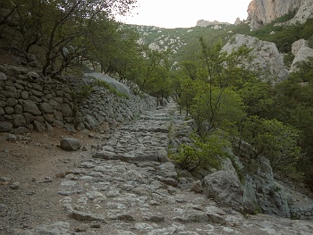 DSCN2628