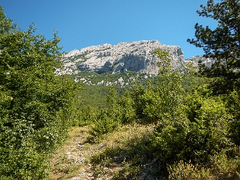 DSCN2648