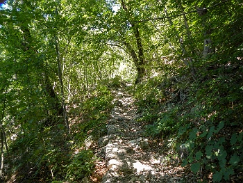 DSCN2649