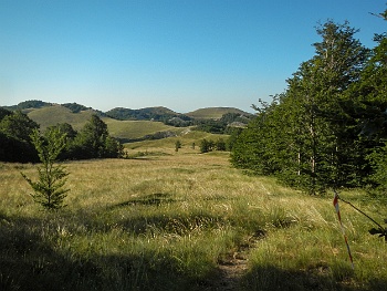 DSCN2712