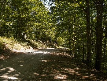 DSCN2742