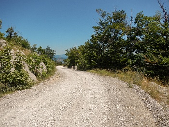 DSCN2746
