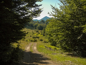 DSCN2780