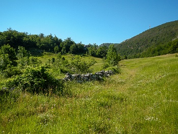 DSCN2782