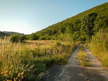 DSCN2815