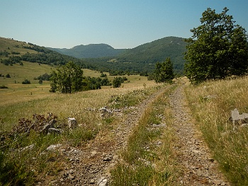 DSCN2833