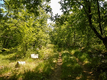 DSCN2837