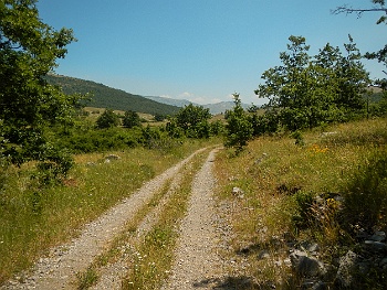 DSCN2840