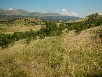 DSCN2847