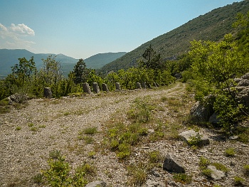 DSCN2860