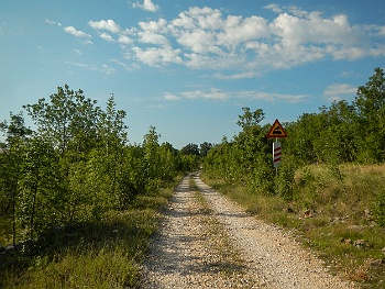 DSCN2887