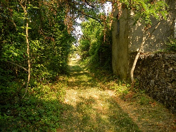 DSCN2894