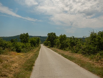 DSCN2958