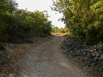 DSCN2996