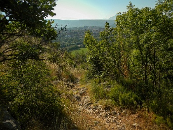 DSCN3002