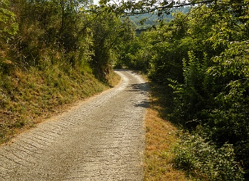 DSCN3003
