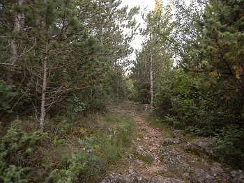 DSCN3050