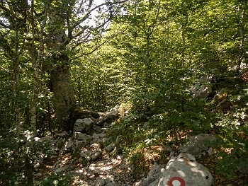 DSCN3121