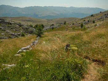 DSCN3122