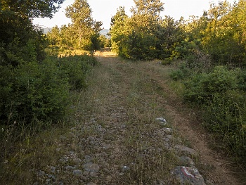DSCN3159
