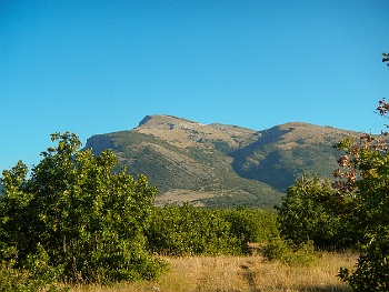 DSCN3164
